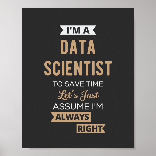 I'm A Data Scientist, To Save Time Let's Just Poster (Front)