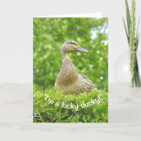"I'M A LUCKY DUCKY/GOT YOU FOR A DAD"