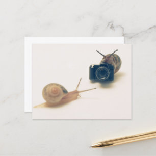 I'm a photographer. postcard