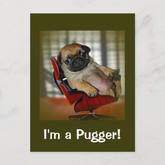 I'm a Pugger! Postcard
