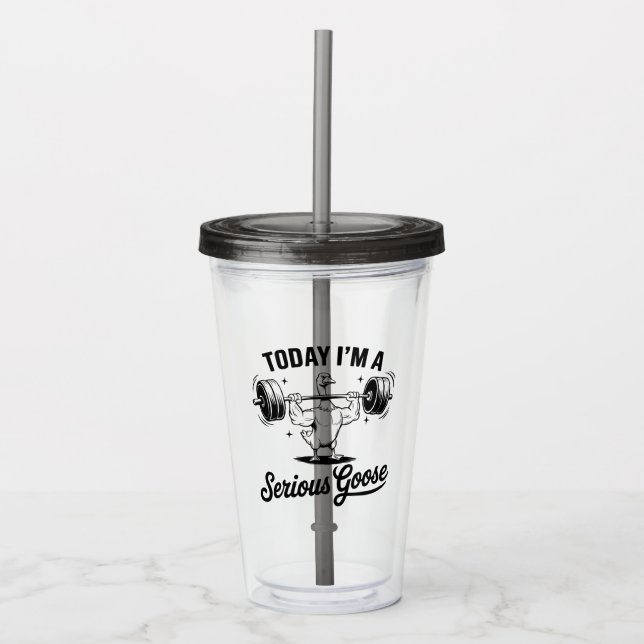"I'm a Serious Goose" Mug Acrylic Tumbler (Front)