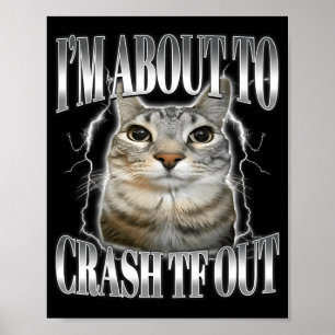 I'm About To Crash Out Funny Staring Cat Brainrot Poster