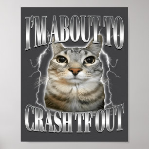 I'm About To Crash Out Funny Staring Cat Brainrot Poster