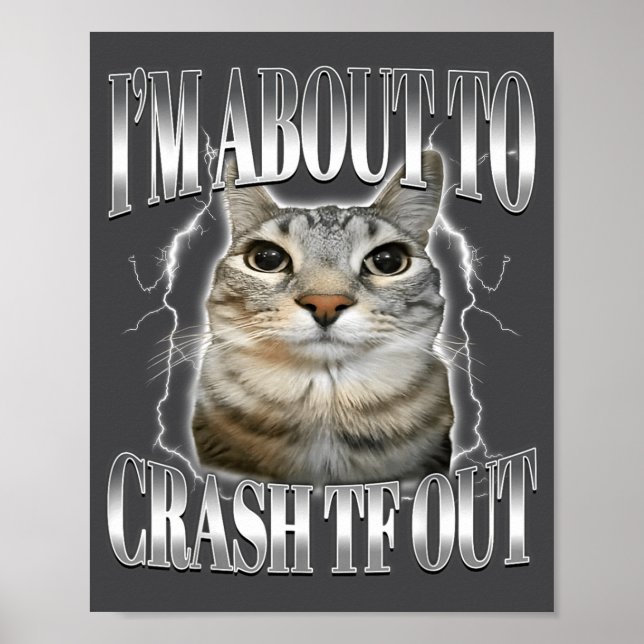I'm About To Crash Out Funny Staring Cat Brainrot  Poster (Front)