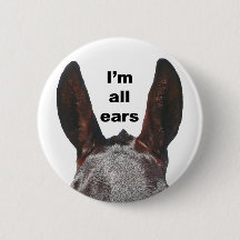 I'm All Ears Mule