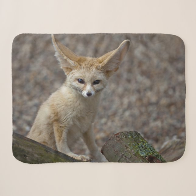 I'm All Ears Sherpa Blanket (Front (Horizontal))