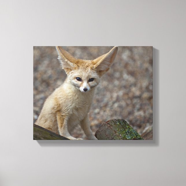 I'm All Ears Wrapped Canvas Print (Front)