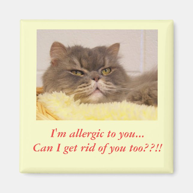 I'm allergic to you.. Magnet (Front)
