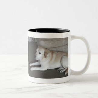 I'm BaileyThe PhilosopherI'm ... Two-Tone Coffee Mug