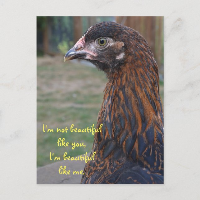 I'm beautiful... Cochin Chicken Postcard (Front)