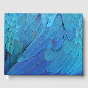 I'm blue - parrot feathers close up guest book