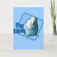 I'm Blue Quaker Parakeet Card