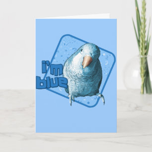 I'm Blue Quaker Parakeet Card