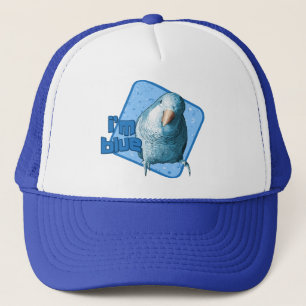 I'm Blue Quaker Parakeet Hat