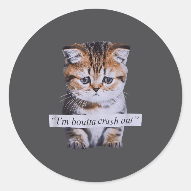 I'm Boutta Crash Out Cat Funny Meme Cat Pet Lover  Classic Round Sticker (Front)