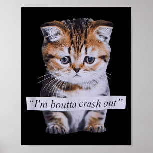 I'm Boutta Crash Out Cat Funny Meme Cat Pet Lover  Poster