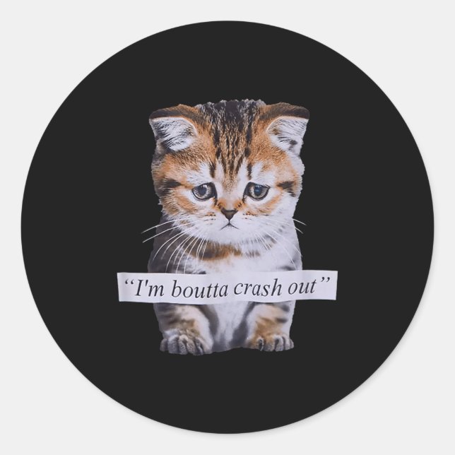 I'm Boutta Crash Out Funny Sarcasm Quotes Meme Cat Classic Round Sticker (Front)