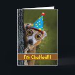 I'm Chuffed Funny Birthday with Lemur on Tree Card<br><div class="desc">A very surprised and funny birthday lemur says I'm Chuffed!!! Cute big eyed lemur is featured on the cover of this British UK themed birthday card. The lemur is wearing a blue, yellow, and red birthday party hat and is clinging to a tree. Original photo thanks to joenomias/Pixabay. Art, image,...</div>