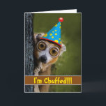 I'm Chuffed Funny Birthday with Lemur on Tree Card<br><div class="desc">A very surprised and funny birthday lemur says I'm Chuffed!!! Cute big eyed lemur is featured on the cover of this British UK themed birthday card. The lemur is wearing a blue, yellow, and red birthday party hat and is clinging to a tree. Original photo thanks to joenomias/Pixabay. Art, image,...</div>