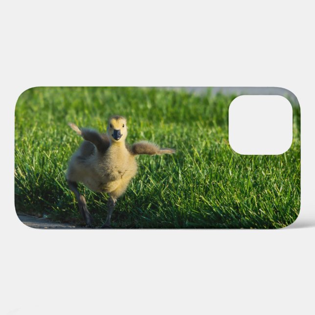 I'm Coming Daddy iPhone Case (Back (Horizontal))
