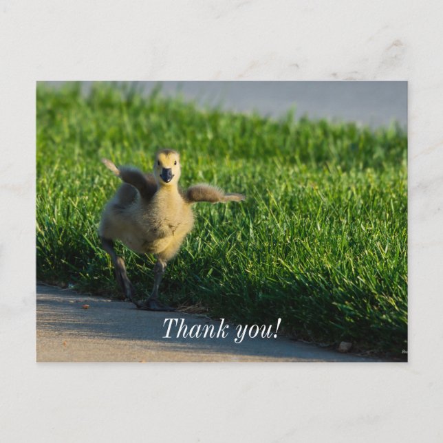 I'm Coming Daddy Thank You Postcard (Front)