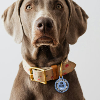 I'm Deaf Custom Text Pet Medical Alert Blue Black Pet Tag