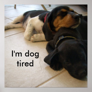 I'm dog tired poster