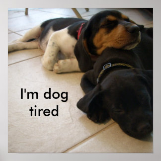 I'm dog  tired poster