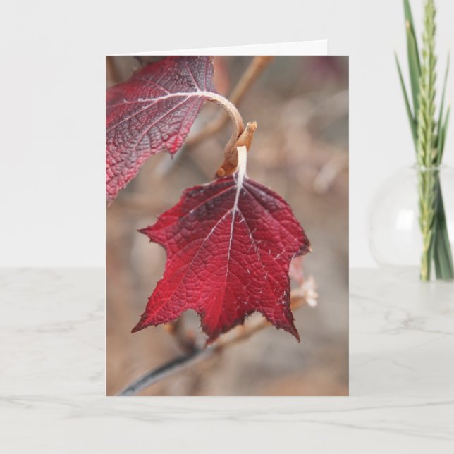 I'm falling for you holiday card (Front)