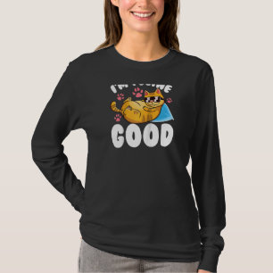 I'm Feline Good Cat Kitten Lover Pun Meme Raglan T-Shirt
