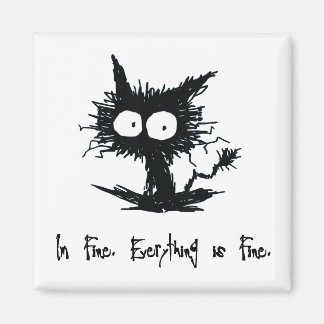 "I'm Fine, Everything is Fine"   Magnet