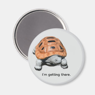 I'm getting there, custom box turtle magnets