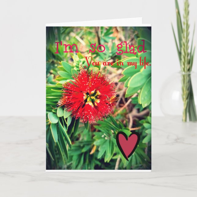 I'm Glad You Are in my Life Card (Front)