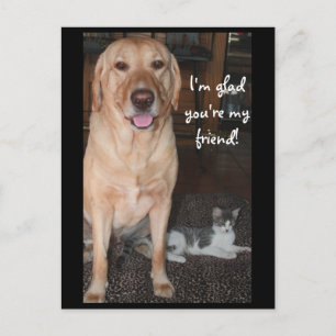 I'm Glad You're My Friend! Postcard
