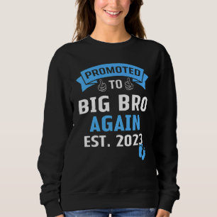 I'm Going To Be A Big Brother Again 2023 Funny Big Sweatshirt
