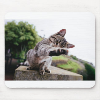 I'm gonna catch You: Funny Cat Mouse Mat