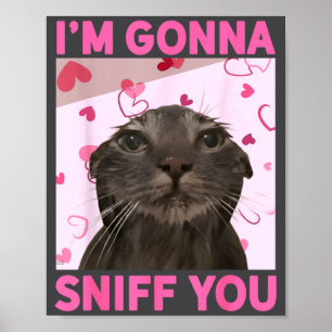 I'm Gonna Sniff You Funny Brainrot Cats Meme For W Poster