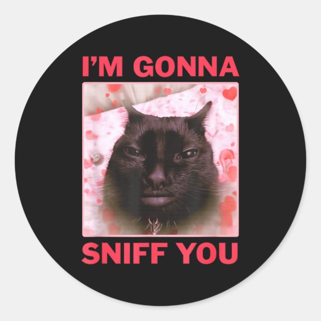 I'm Gonna Sniff You Funny Raunchy Brainrot Meme Ge Classic Round Sticker (Front)