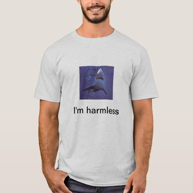 I'm harmless :/ T-Shirt (Front)