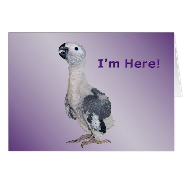 I'm Here (Front Horizontal)