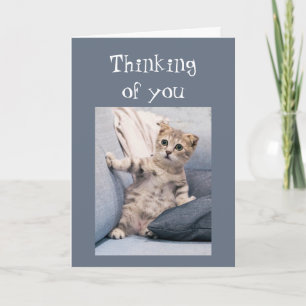I'm here for you when things are Scary Cute Kitten Card