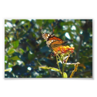 I'm Home Now Photo Print