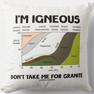 I'm Igneous Don't Take Me For Granite Cushion