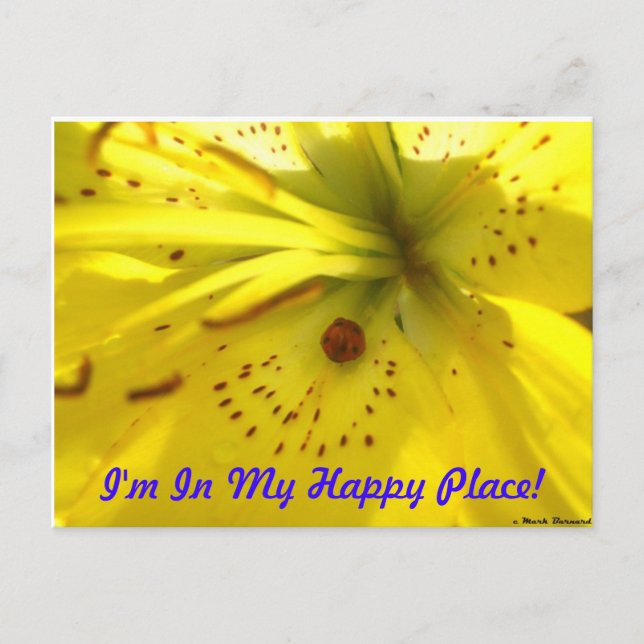 I'm In My Happy Place! Postcard (Front)