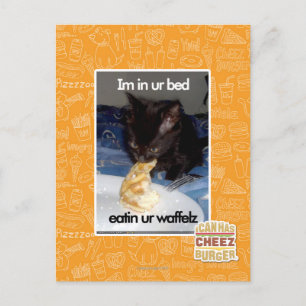 Im in ur bed postcard