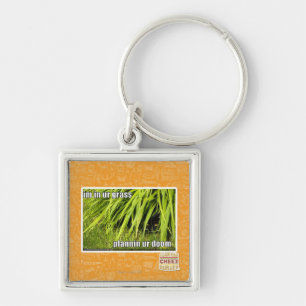 im in ur grass key ring