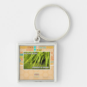 im in ur grass key ring