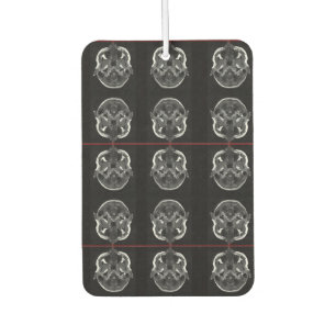 im in your head xray mri scan medical car air freshener