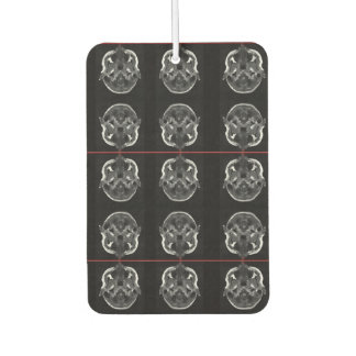 im in your head xray mri scan medical car air freshener