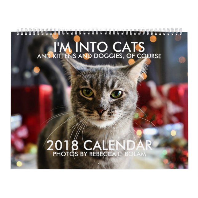 I'M INTO CATS 2018 CALENDAR By Rebecca L. Bolam (Cover)